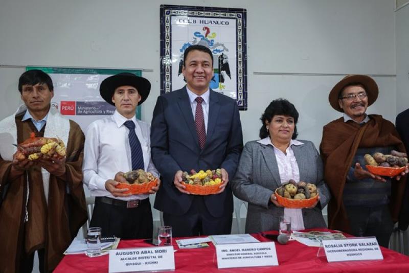 Huánuco: exhibirán más de 600 variedades de papas nativas en feria de la agrobiodiversidad