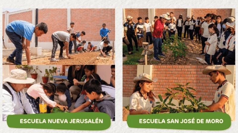 Huertos Bosque: una solución para mejorar la nutrición en el Perú desde la escuela
