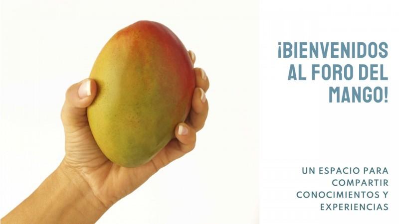 I Foro de Producción y Comercialización del Mango