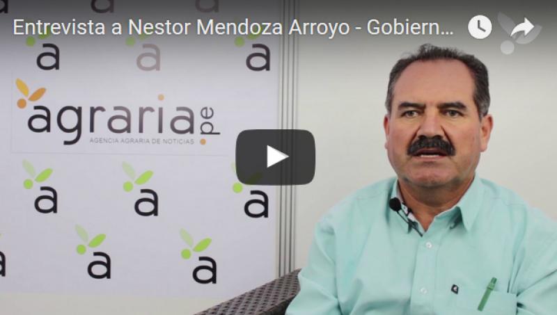 Ica invierte S/ 19 millones para implementar la cosecha y siembra de agua en mil hectáreas y garantizar el desarrollo agrícola