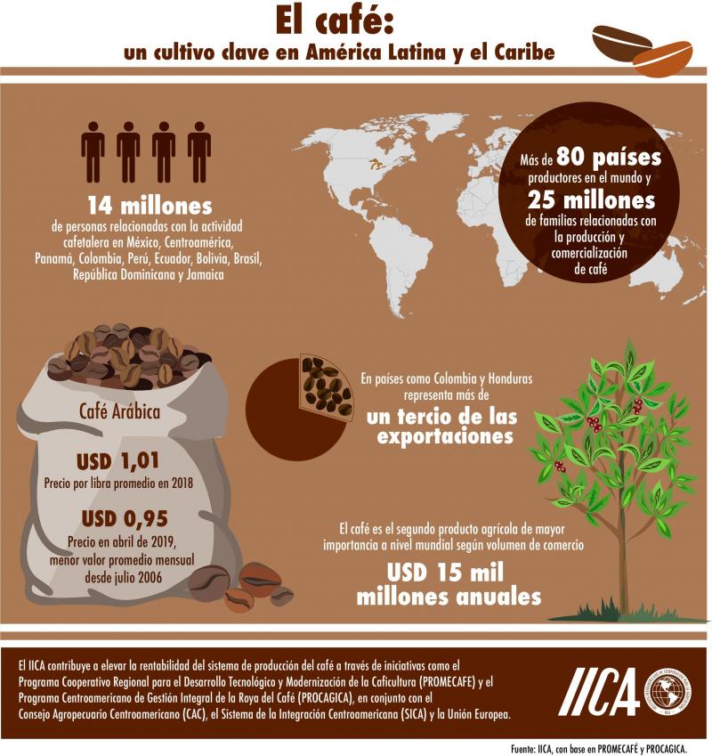 IICA alerta por impactos negativos de los bajos precios del café