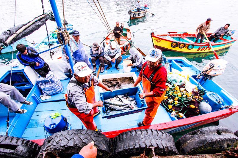Implementación de nuevo reglamento de inocuidad para la pesca y acuicultura fortalece la protección de los consumidores y la seguridad alimentaria