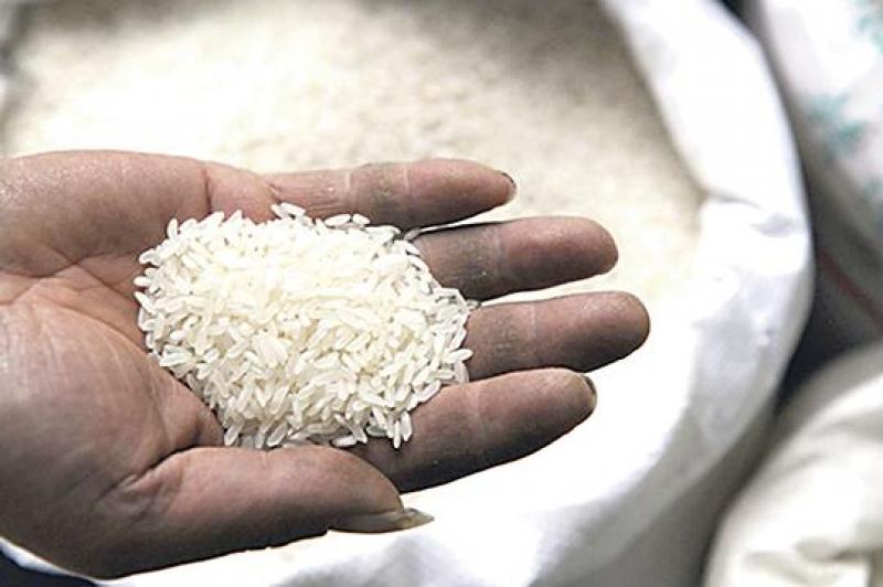 Importación de arroz creció en valor 11.9% en el primer trimestre del año