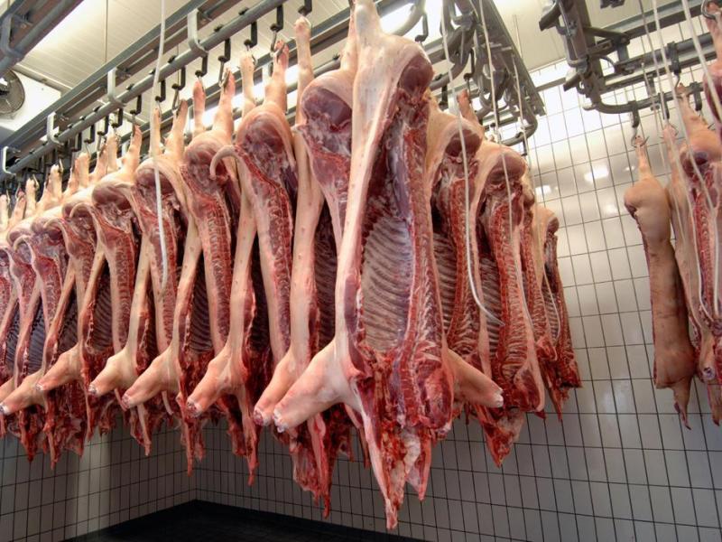 Importación de carne de cerdo aumentó 13.26% en el primer semestre del año