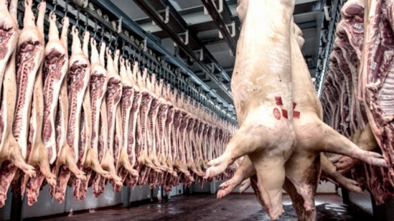 Importación de carne de cerdo por parte de Perú creció 3.8% durante enero-septiembre del 2017