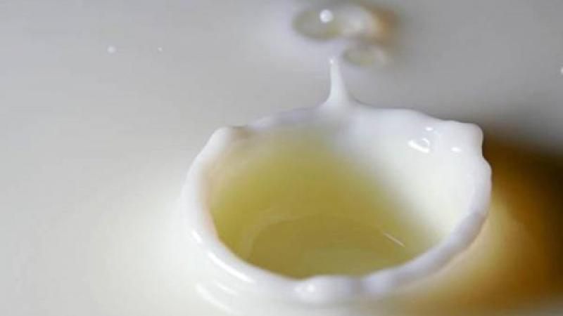 Importación de grasa de leche creció hasta los US$ 22 millones entre enero y mayo