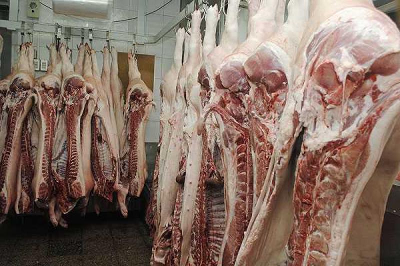 IMPORTACIONES DE CARNE DE CERDO CRECIERON 176% DE ENERO A JULIO DE ESTE AÑO