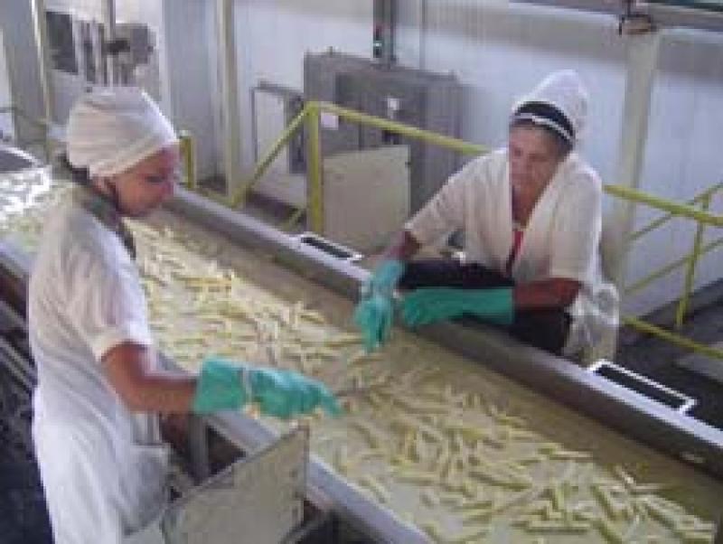 IMPORTACIONES DE PAPAS PREFRITAS CRECIERON 35%