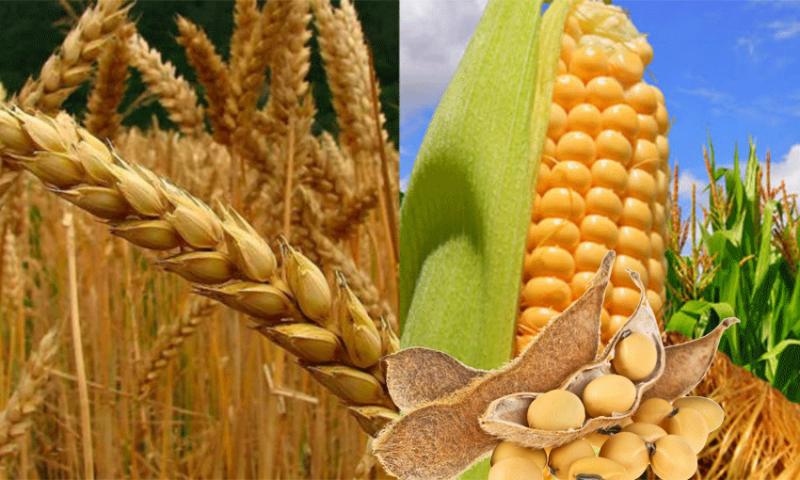 Importaciones de productos agropecuarios caen en valor 6.15% en el primer trimestre del año