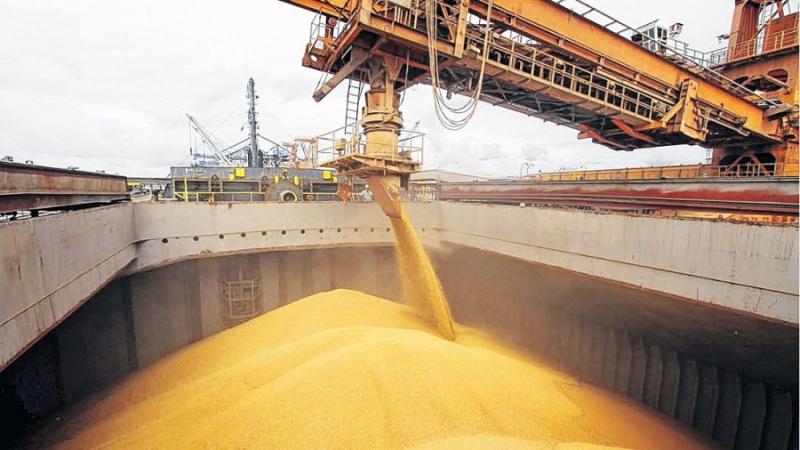 Importaciones de trigo alcanzan valores de casi US$ 227 millones