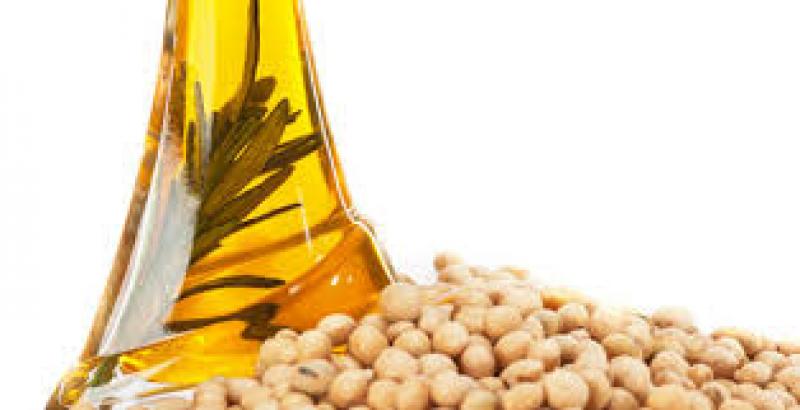 Importante incremento en el nivel de importaciones de aceite de soya