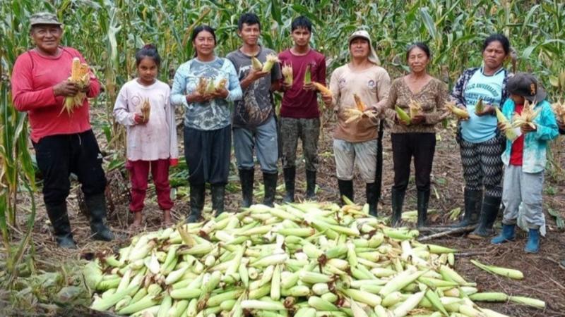 Impulsan desarrollo agrícola en la frontera peruano-colombiana