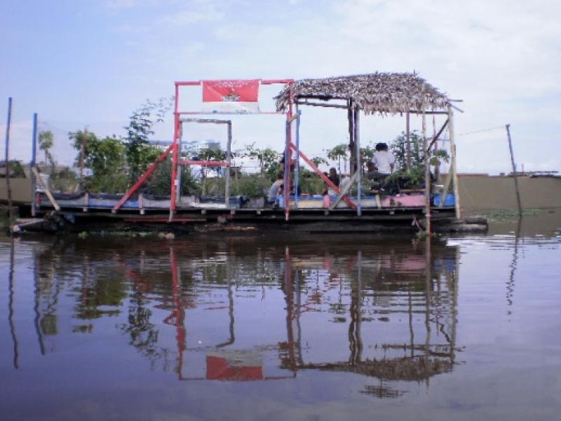 IMPULSAN INSTALACION DE HUERTOS FLOTANTES EN LORETO