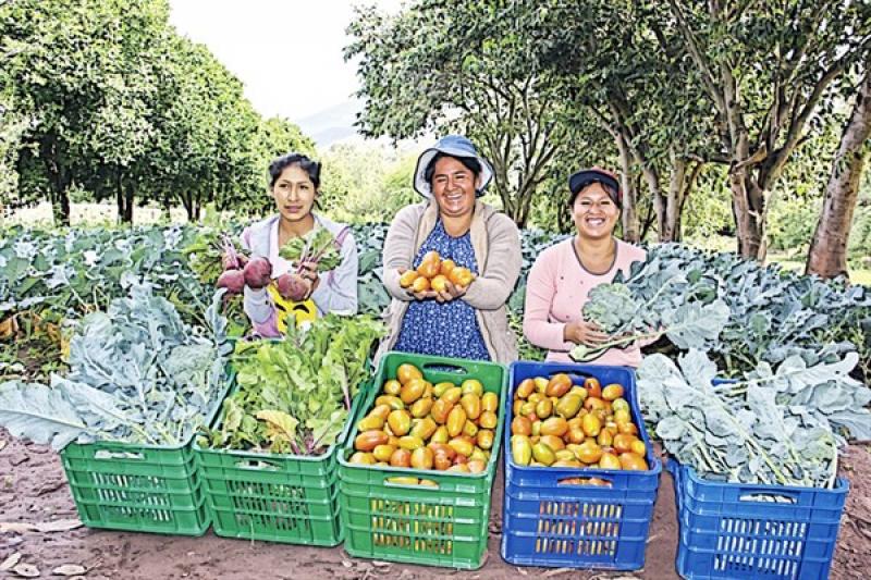Impulsan la inclusión de pequeños productores a mercados