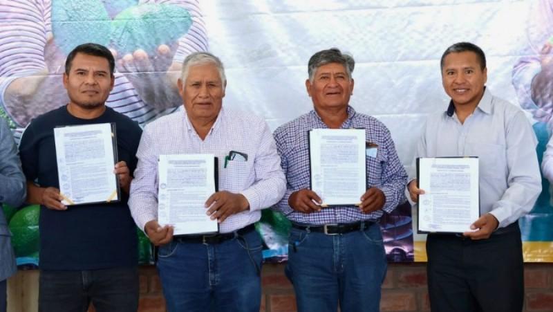 Impulsan reconversión productiva en beneficio de pequeños agricultores de uva en Arequipa