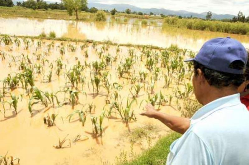 IMPULSAN SEGURO AGRÍCOLA EN AMÉRICA LATINA