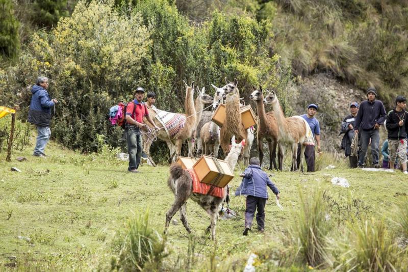 IMPULSARÁN AGROTURISMO EN PARQUE HUASCARÁN