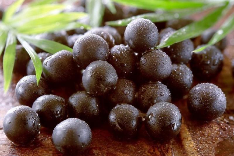 Impulsarán la exportación del acai, el blueberry de la selva