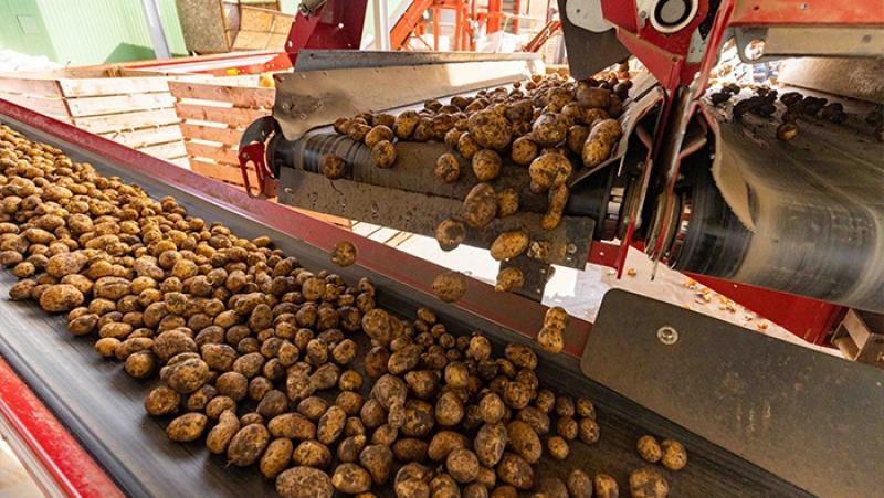 Inacal desarrolló más de 5.700 normas técnicas para la calidad de productos y servicios en el Perú