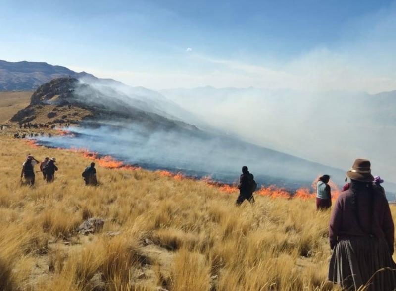 Incendio arrasa casi el 95% de parque natural de reserva de vicuñas en el distrito cusqueño de Pomacanchi