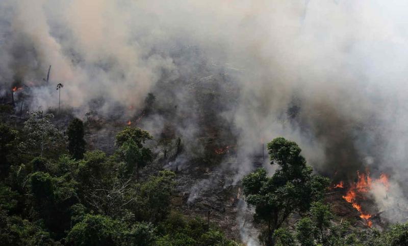 Incendios de la Amazonía en Brasil sacan a flote las políticas ambientales de Bolsonaro
