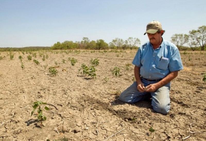Incorporarán a Tumbes y Piura en el seguro agrario catastrófico