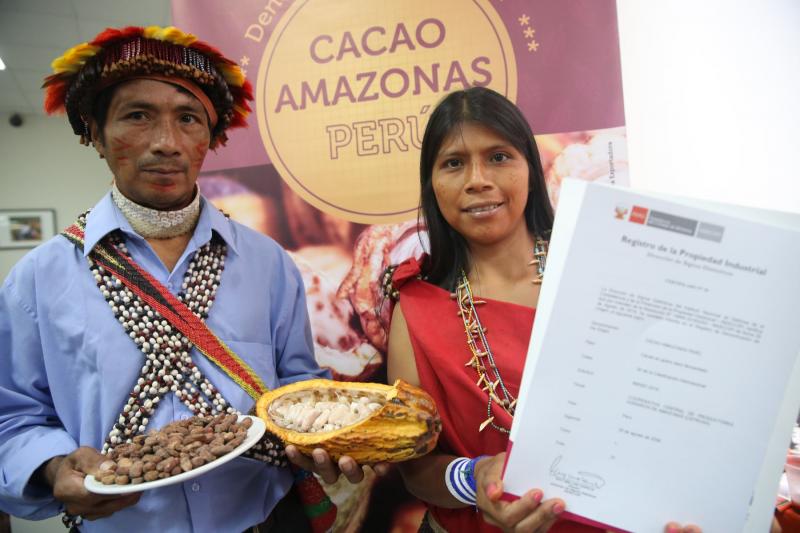 Indecopi otorgó denominación de Origen a Cacao Amazonas Perú