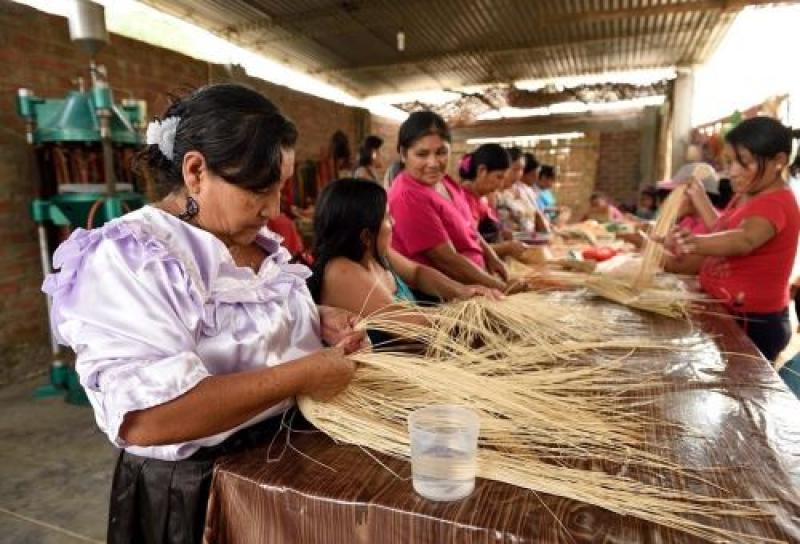 Indecopi y Produce promueven las marcas colectivas en zonas afectadas por El Niño Costero