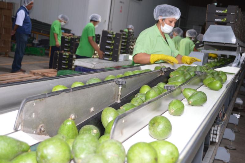 Industria de alimentos peruana se consolida en la costa oeste de Estados Unidos