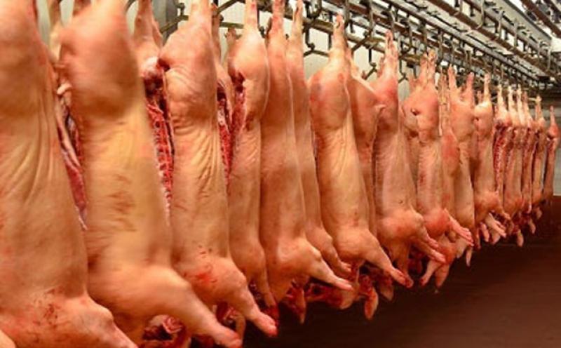 Industria porcina está convencida que provisión de carne de cerdo a Qali Warma beneficiará nutrición de escolares