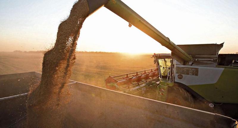 Industriales ucranianos piden creación de corredor para exportación de grano