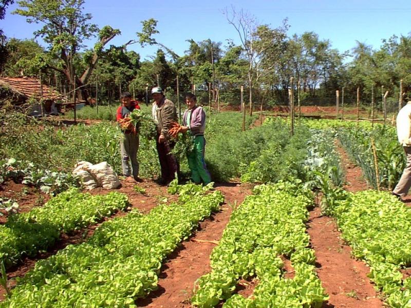 INFORMAN ESTADO SITUACIONAL DE PROYECTOS REGIONALES