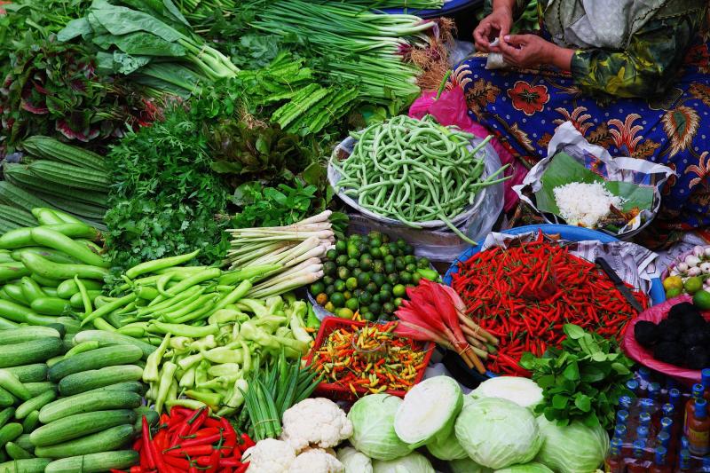 Informe científico sugiere dieta global que beneficiaría salud humana y preservación del ambiente