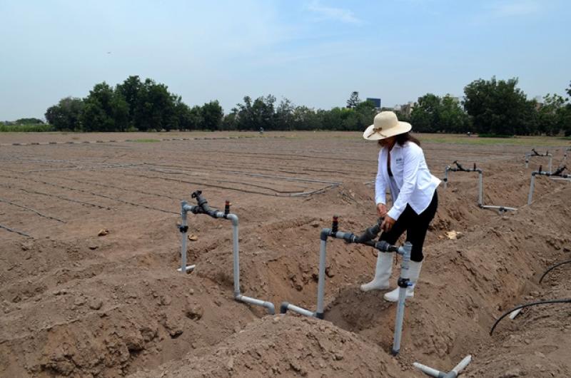 INIA anunció proyecto que mejorará calidad de agua para riego de cultivos