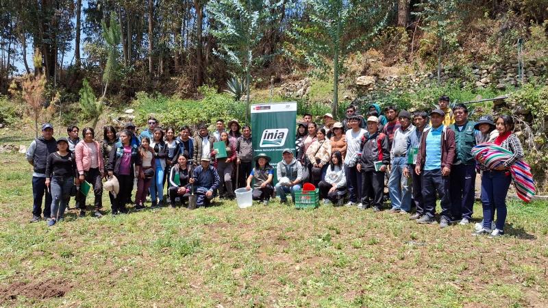 INIA capacita a productores en mejoramiento de la calidad del maíz amiláceo y suelos agrarios en Pasco