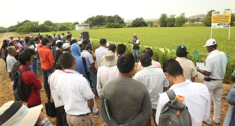 INIA crea dos nuevas Estaciones Experimentales Agrarias en Huánuco y La Libertad