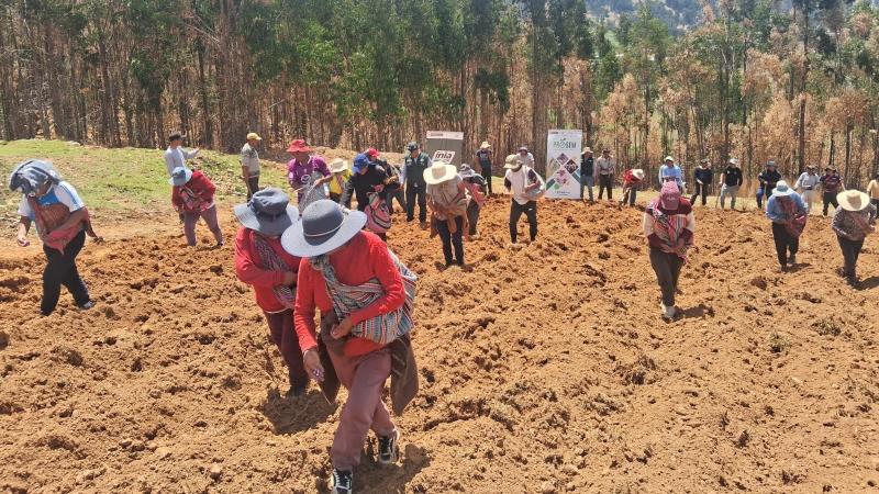 INIA fortalece a más de 200 mil productores agrarios como líderes de cadenas de valor con enfoque agroexportador