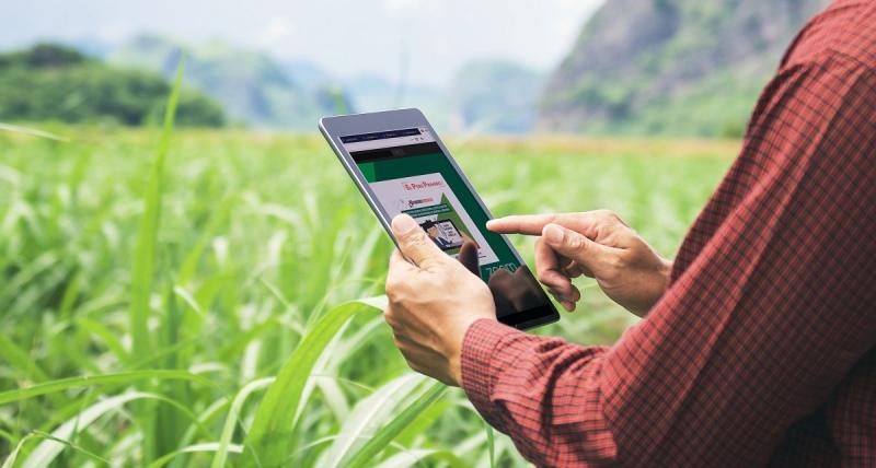 INIA implementa lineamientos para capacitación y asistencia técnica agraria virtual