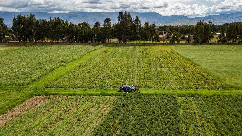 INIA presenta Estudio Prospectivo de la Innovación Agraria al 2050 con el objetivo de convertir la agricultura peruana en potencia líder