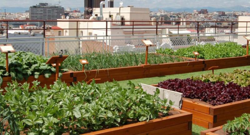 INIA promoverá la agricultura vertical en las ciudades para reducir la contaminación ambiental