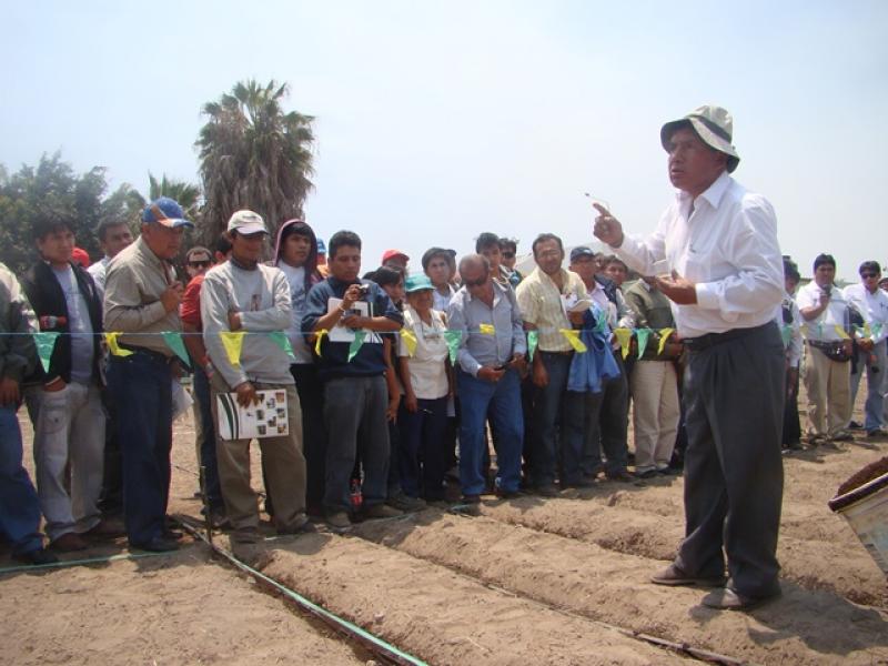 INIA REALIZA CURSO SOBRE CULTIVO DE QUINUA EN LA COSTA NORTE DEL PERÚ