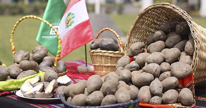 INIA REALIZÓ FORO POR DÍA DE LA INVESTIGACIÓN AGROCUPECUARIA