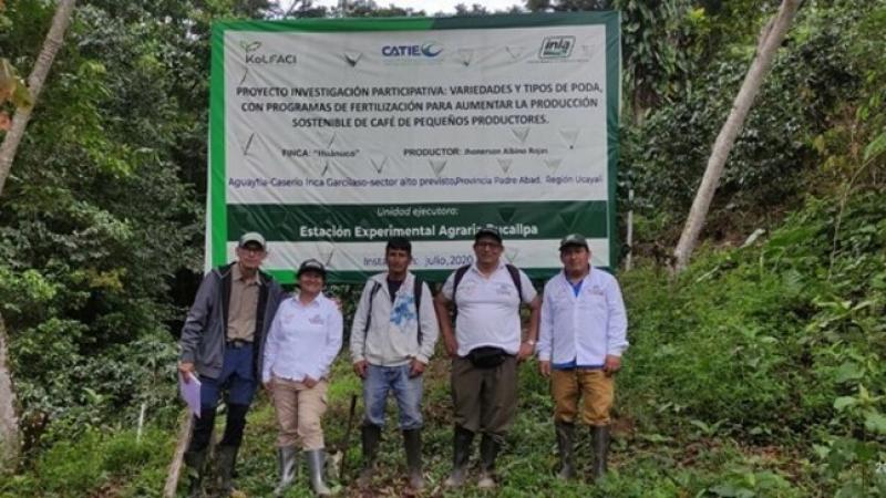 INIA y CATIE de Costa Rica evalúan calidad de cultivos de café en Ucayali