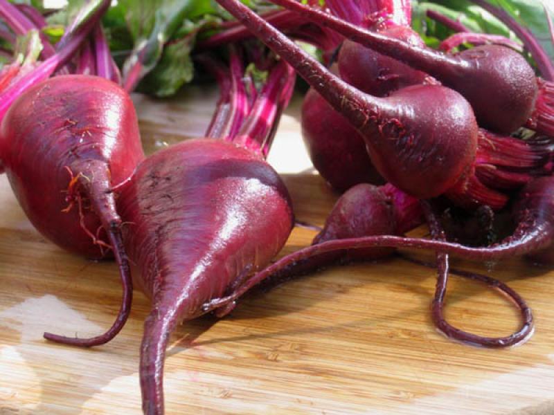 Injertan genes de betarraga en tomates, berenjenas y otros productos para hacerlos más saludables