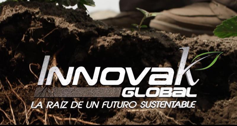 Innovak Global: 65 años desarrollando ofertas de valor orientadas a optimizar los procesos fisiológicos de los cultivos