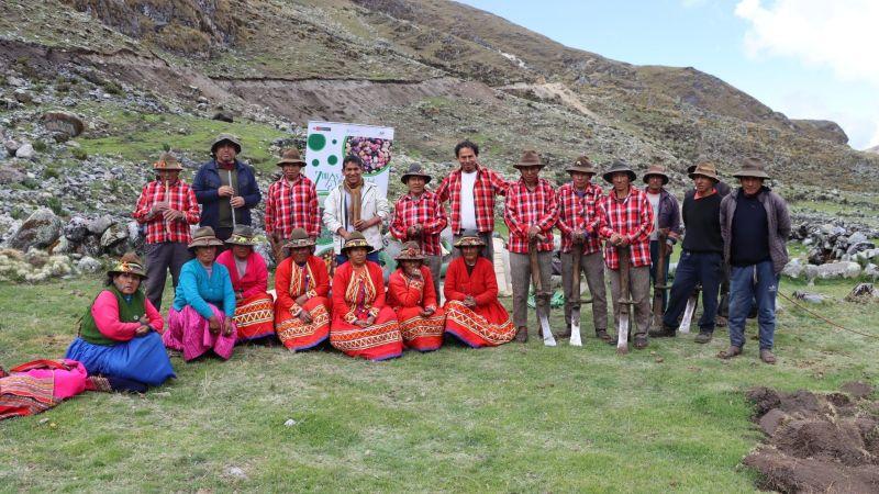 Instalan material genético para conservar calidad de papa nativa en Apurímac