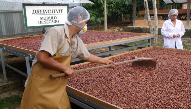 Instalarán CITEs con perfil agroindustrial  orientados al chocolate a partir del 2019
