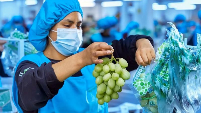 Inteligencia artificial y satélites garantizan sostenibilidad de la agroexportación peruana a Europa