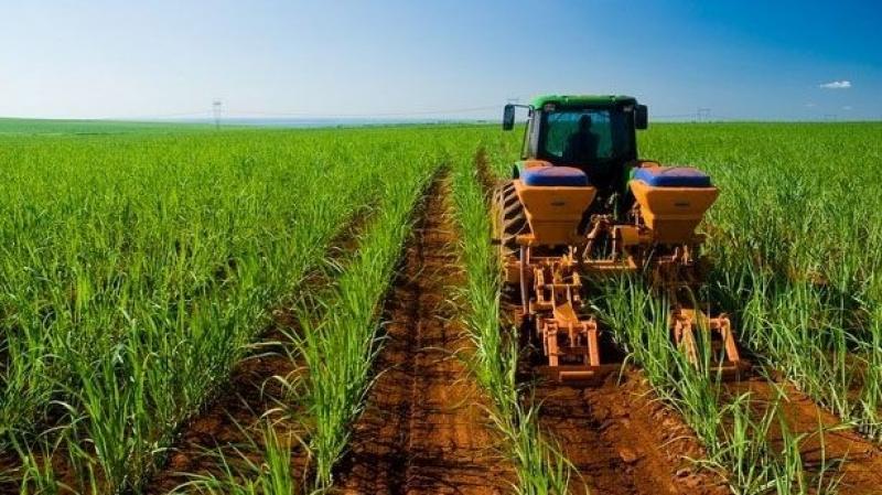 Invest Pacific de Colombia visitará empresas agrícolas peruanas con el objetivo que inviertan en el Valle del Cauca