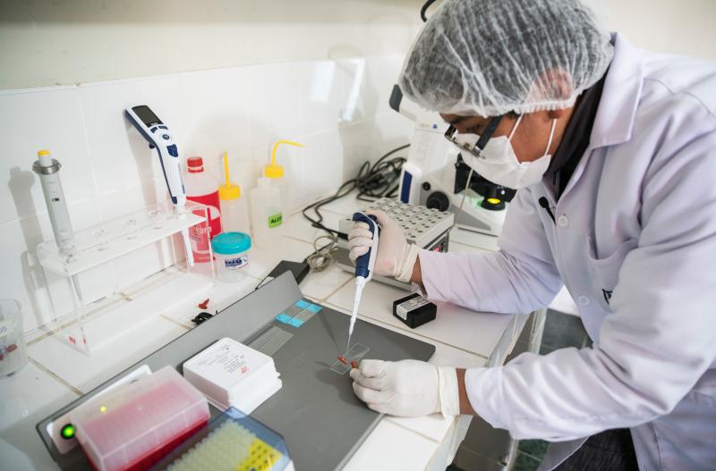 Invierten S/ 13 millones para implementar laboratorios genéticos en la región Ucayali